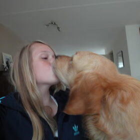 liefde op het eerste gezicht