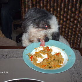 Turbo eet graag mee aan tafel