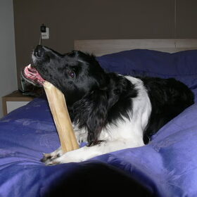 ontbijt op bed