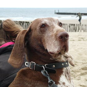 Op het strand