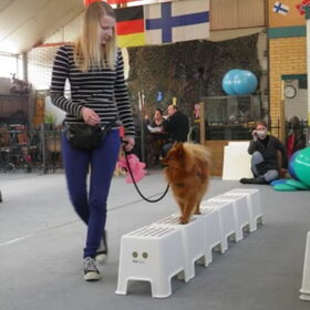 Samen workshop balans en coordinatie volgen