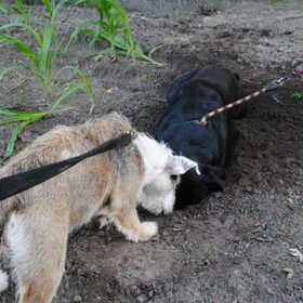 Samen een putje graven..
