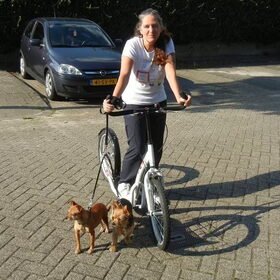 Samen steppen!