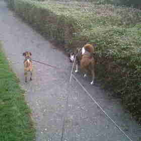 Samen wandelen