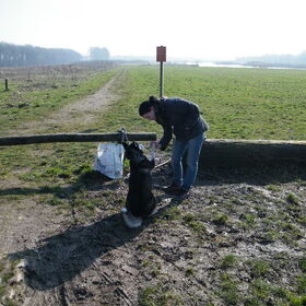 Na training met de step :)