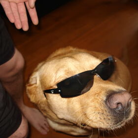 Wahaha stoere zonnebril hoor!