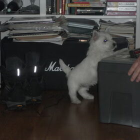 Samen klussen.