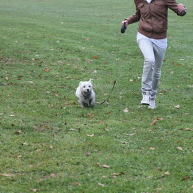 Samen rennen.