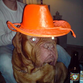 koninginendag!!!
