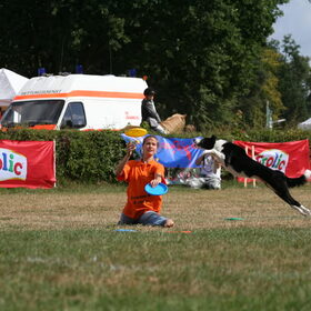 Samen werken met frisbees