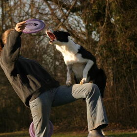 Trainen met Joey