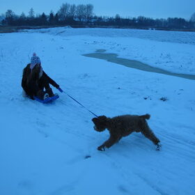 spelen in de sneeuw