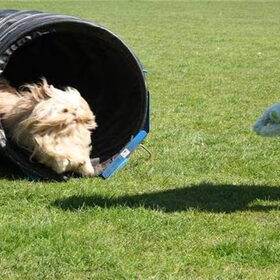 Luna stromt de tunnel uit op zoek naar mij.