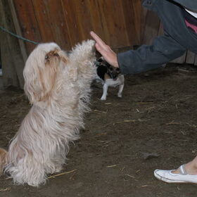 High five.