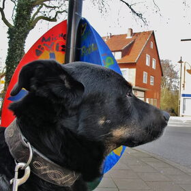 Pasen in de stad