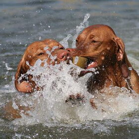 Samen spelen is pas leuk