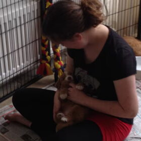 diva toen ze 4 weken was met mij knuffelen