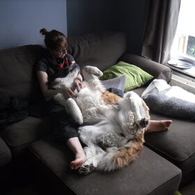 Samen studeren