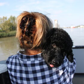 My poodle and me