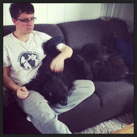 Knuffelen op de bank