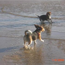 aan zee