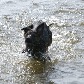 Waterrace!