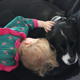 hond en kind