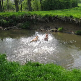 Springen!