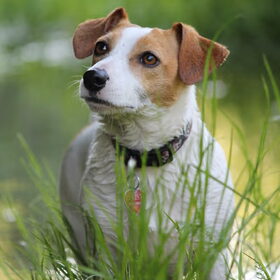 mooi poseren