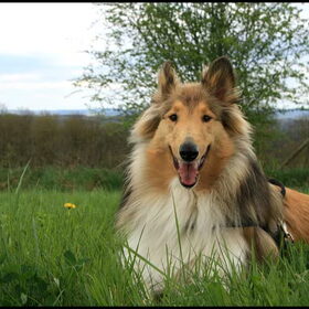 Rivka in de Ardennen
