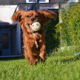 Klaar voor de lente!