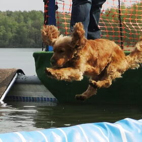 Jump!