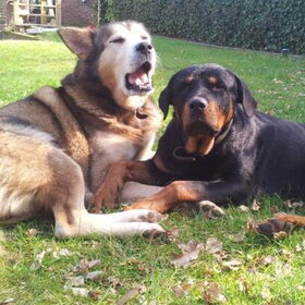 Lazy AND cozy AND sun.. what else do we need
