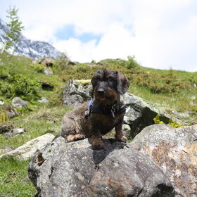 Genieten van de lente in Oostenrijk