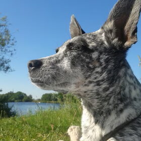Genieten van het zonnetjes