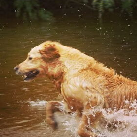 lekker in het water