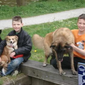 Geen titel