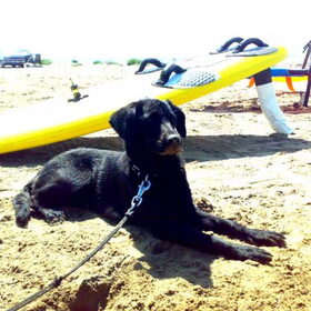Het is strandweer!