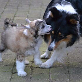 Elphie zegt... HAP!