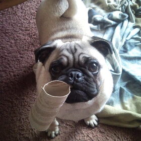 Wanna play?