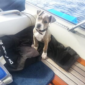 Tetje wil ook graag wakeboarden!