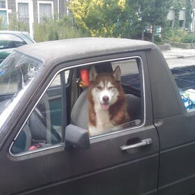 auto rijden