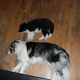 samen slapen ;-)