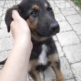 Mijn mooie meisje