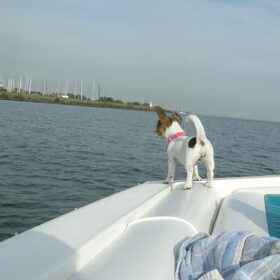 Op de speedboot