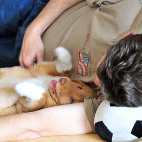 Shaely pupfoto 3/3