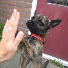 Super LOLA!