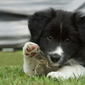 hi five................