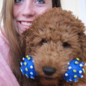 mango &madelon