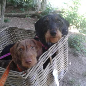 Samen fietsen